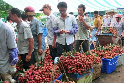Loạt trái cây quý tộc Trung Quốc giảm giá sâu, có loại quả 'ba mùa đổ bộ một lúc'