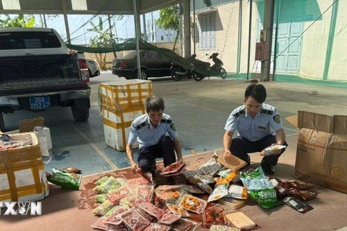 Thanh Hóa: Thu giữ khối lượng lớn thực phẩm không rõ nguồn gốc