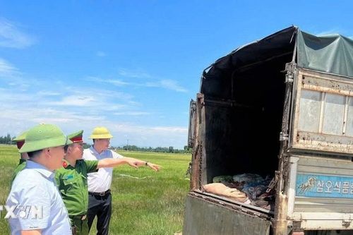 Hà Tĩnh: Phát hiện xe tải chở hơn 1 tấn nội tạng, da trâu bò không rõ nguồn gốc