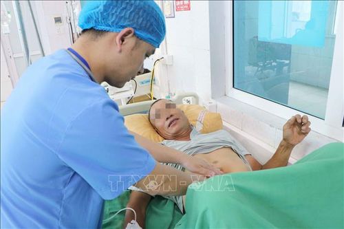 Ngộ độc suýt chết do ăn nấm lạ
