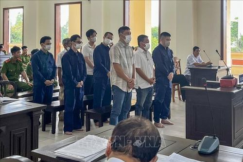 Cựu giám đốc Trung tâm đăng kiểm ở Cần Thơ bị phạt 11 năm tù