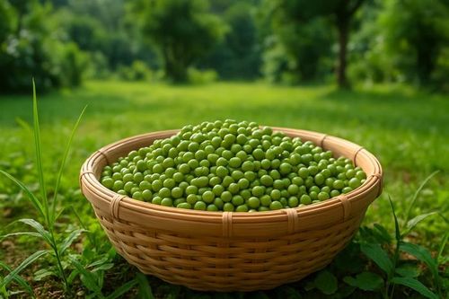 Loại hạt được mệnh danh là 'thần dược' giải nhiệt, làm đẹp da lại có ngay trong gian bếp nhà bạn
