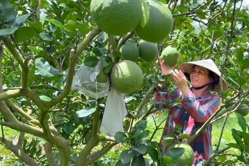 Ứng dụng công nghệ số nâng tầm sản phẩm nông thôn mới