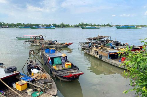 Xóm cào ven sông Hậu