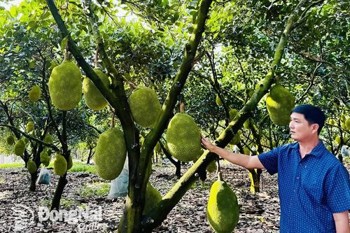 Nông thôn mới kiểu mẫu đi vào chiều sâu
