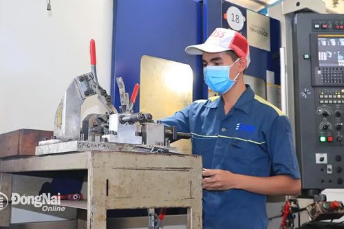 Doanh nghiệp FDI chiếm 74% trong tổng kim ngạch xuất khẩu