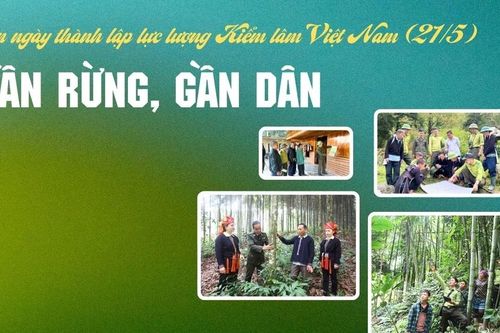 Gần rừng, gần dân