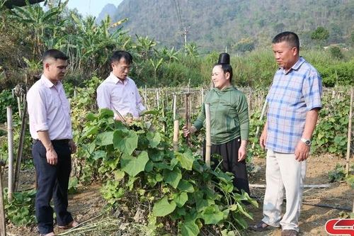 Nông dân Quỳnh Nhai sản xuất kinh doanh giỏi