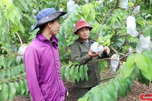 Làm chủ khoa học kỹ thuật trong sản xuất nông nghiệp