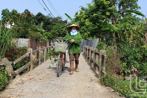 Cầu Đồng Lịch xuống cấp cần sớm khắc phục