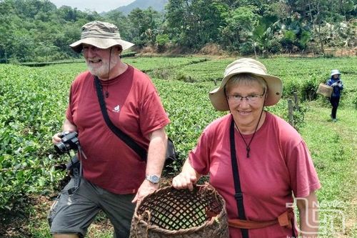 Ấn tượng xứ trà với du khách quốc tế