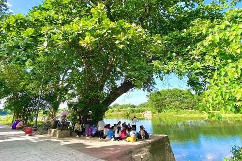 Cải tạo hệ thống bến nước ở làng cổ Phước Tích phải tránh bê tông hóa