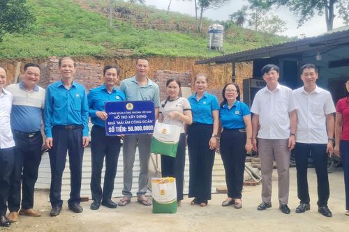 Kinh tế hộ lâm nghiệp: Lan tỏa từ những cánh rừng nguyên liệu giấy