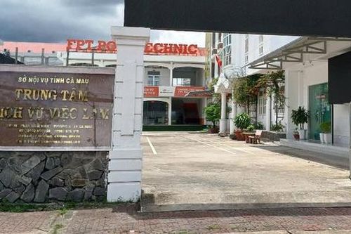 Cà Mau: Đưa trợ lý ảo AI vào hỗ trợ giới thiệu việc làm