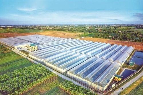 Áp lực nợ vay và nghĩa vụ tài chính tại công ty con của PAN Group ngày một lớn