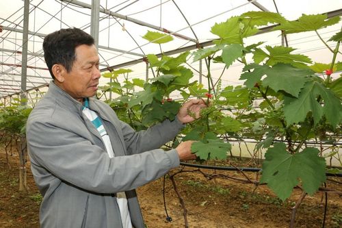 Agribank 'tiếp lửa' cho doanh nghiệp tư nhân