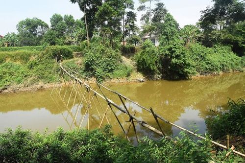 Chiếc cầu tre và ước mơ nối đôi bờ sông Nhùng
