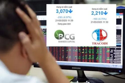 Cổ phiếu BCG và TCD vào diện hạn chế giao dịch