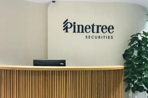 Hệ thống của Công ty Chứng khoán Pinetree gặp sự cố
