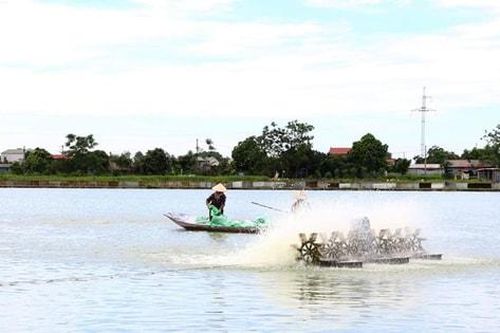 Sản lượng nuôi trồng thủy sản toàn thành phố Hà Nội đạt 37.150 tấn