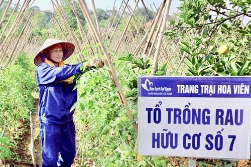 Phát triển nông nghiệp hữu cơ tại Hà Nội:Tăng giá trị nông sản, bảo vệ môi trường