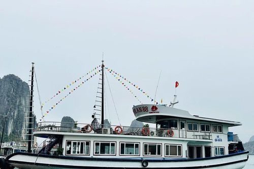 Tàu du lịch bị 'treo giò' 7 ngày vì để khách mang chai nhựa dùng một lần tham quan vịnh Hạ Long