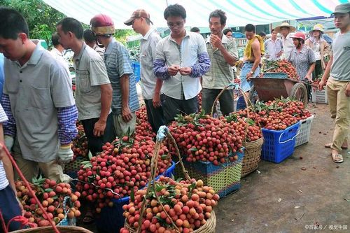Hàng loạt trái cây 'quý tộc' đại hạ giá ở Trung Quốc