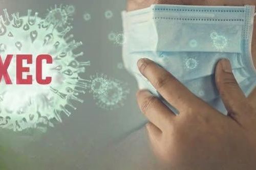Điều gì xảy ra khi nhiễm biến thể Covid-19 XEC?