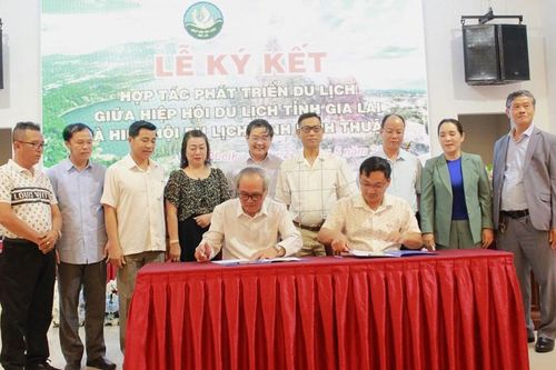 Ninh Thuận - Gia Lai hợp tác phát triển du lịch bền vững