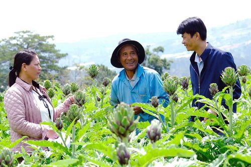 Xanh thắm những buôn làng nam Tây Nguyên