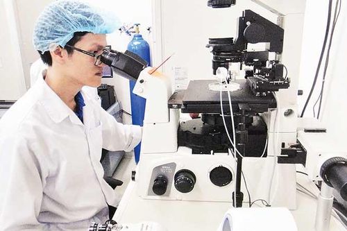 Đào tạo nguồn nhân lực chất lượng cao