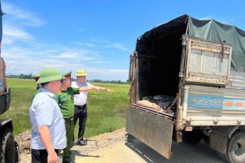 Sản phẩm động vật không rõ nguồn gốc