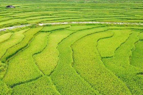 Ngắm 'cổng nhà trời' Pù Luông
