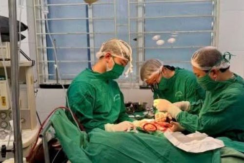 Phẫu thuật nối nửa bàn tay đứt rời do máy cắt tôn