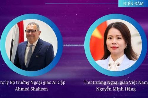 Ai Cập mong muốn củng cố và làm sâu sắc hơn nữa quan hệ hợp tác với Việt Nam