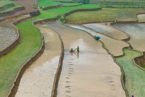 Mê mẩn những thửa ruộng như gương trời in bóng mây bay ở Bắc Hà