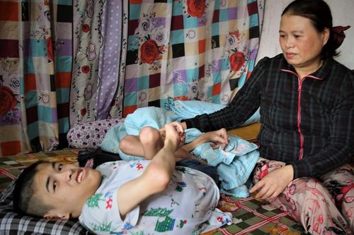 Mẹ đơn thân nuôi con trai nằm liệt 17 năm trời, mong có tiền duy trì cuộc sống