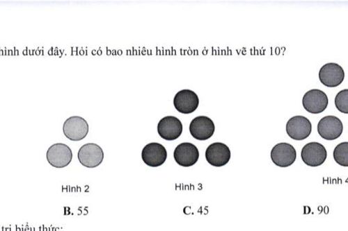 Thử thách tư duy: Có bao nhiêu hình tròn trong hình vẽ thứ 10?