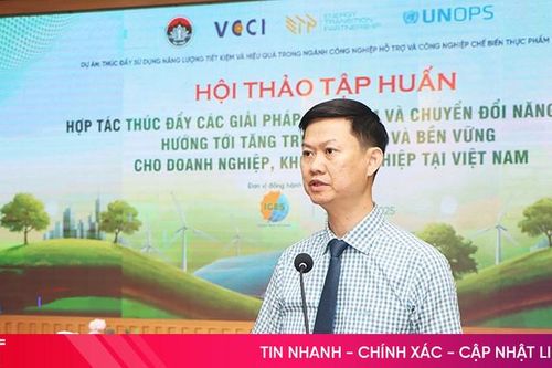 Thúc đẩy chuyển đổi năng lượng xanh trong doanh nghiệp