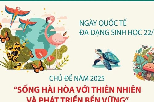 Ngày Quốc tế Đa dạng sinh học 22/5: Vì sự phát triển bền vững của hành tinh