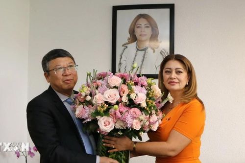 Tăng cường vai trò cầu nối của Nhóm Nghị sỹ Hữu nghị Mexico-Việt Nam