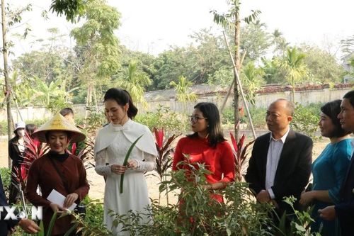 Ninh Bình khai thác tiềm năng tour du lịch chăm sóc sức khỏe để hút du khách