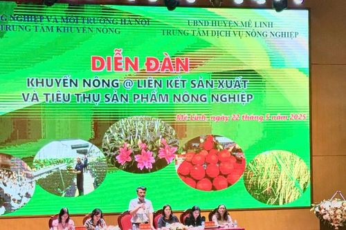 Hà Nội tổ chức 8 diễn đàn liên kết sản xuất và tiêu thụ sản phẩm nông nghiệp