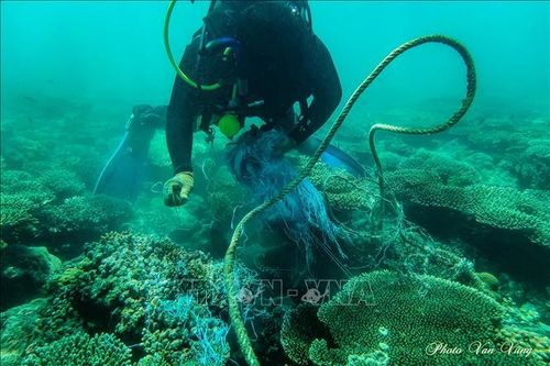 Vai trò tiên phong của khoa học, đổi mới sáng tạo và công nghệ xanh trong bảo vệ đại dương