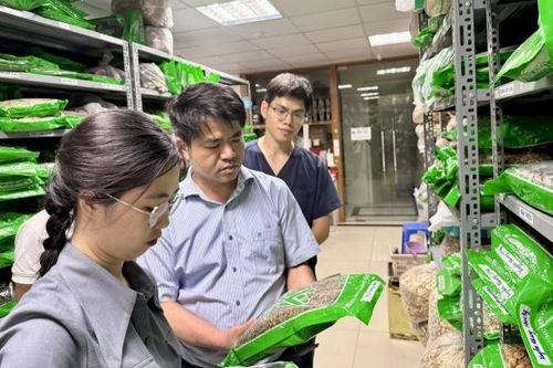 Bộ Y tế tăng cường giám sát thị trường dược phẩm, mỹ phẩm