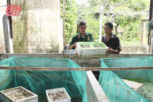 Đoàn kết giúp nhau phát triển kinh tế