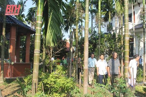 Hiệu quả kép từ vườn cau sinh thái