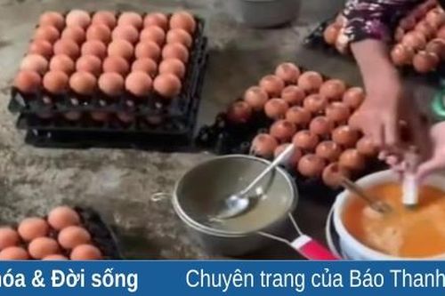 Chủ tịch Hội Chăn nuôi Việt Nam: Làm giả trứng gà giống trứng thật là điều không thể