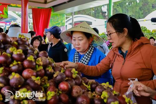 Nhiều hội thi, hoạt động đặc sắc tại Lễ hội Trái cây Nam Bộ lần thứ 21
