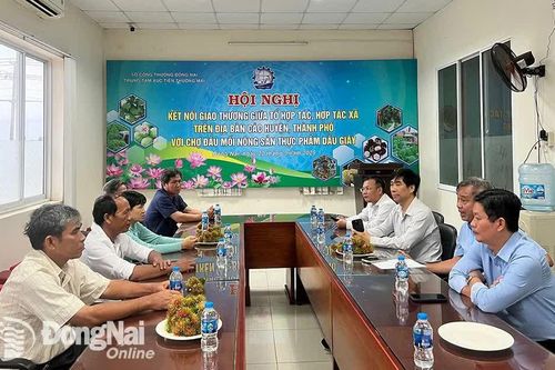 Kết nối giao thương hợp tác xã, tổ hợp tác ở huyện Cẩm Mỹ với chợ đầu mối Dầu Giây